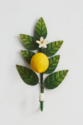 Fruit Metal Hook