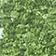VERT FEUILLAGE