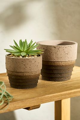 Terrain Tiered Ombre Cement Pot In Neutral