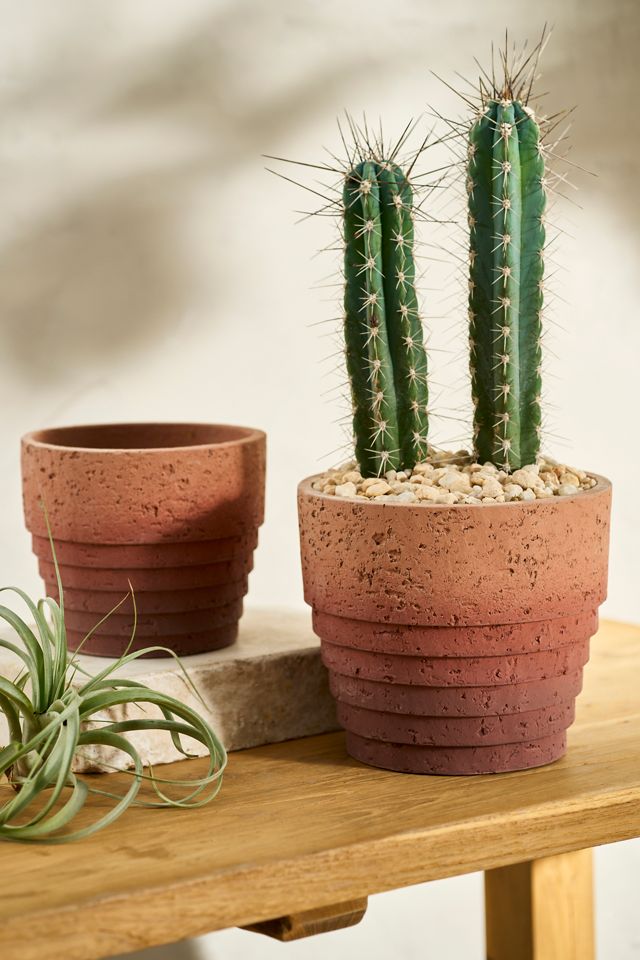Tiered Ombre Cement Pot #1