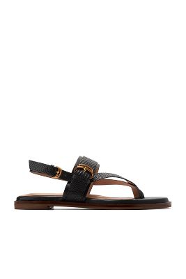 Shop Cole Haan Anica Lux Buckle Sandals In Black