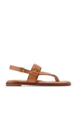 Shop Cole Haan Anica Lux Buckle Sandals In Brown