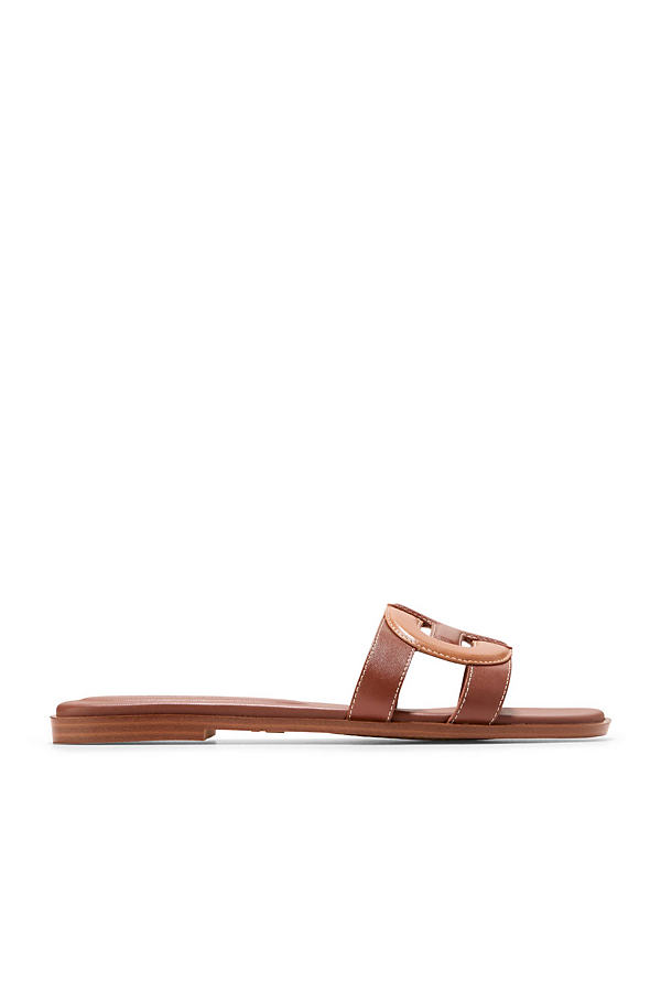 Shop Cole Haan Chrisee Slide Sandals In Brown