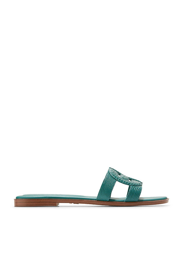 Shop Cole Haan Chrisee Slide Sandals In Green