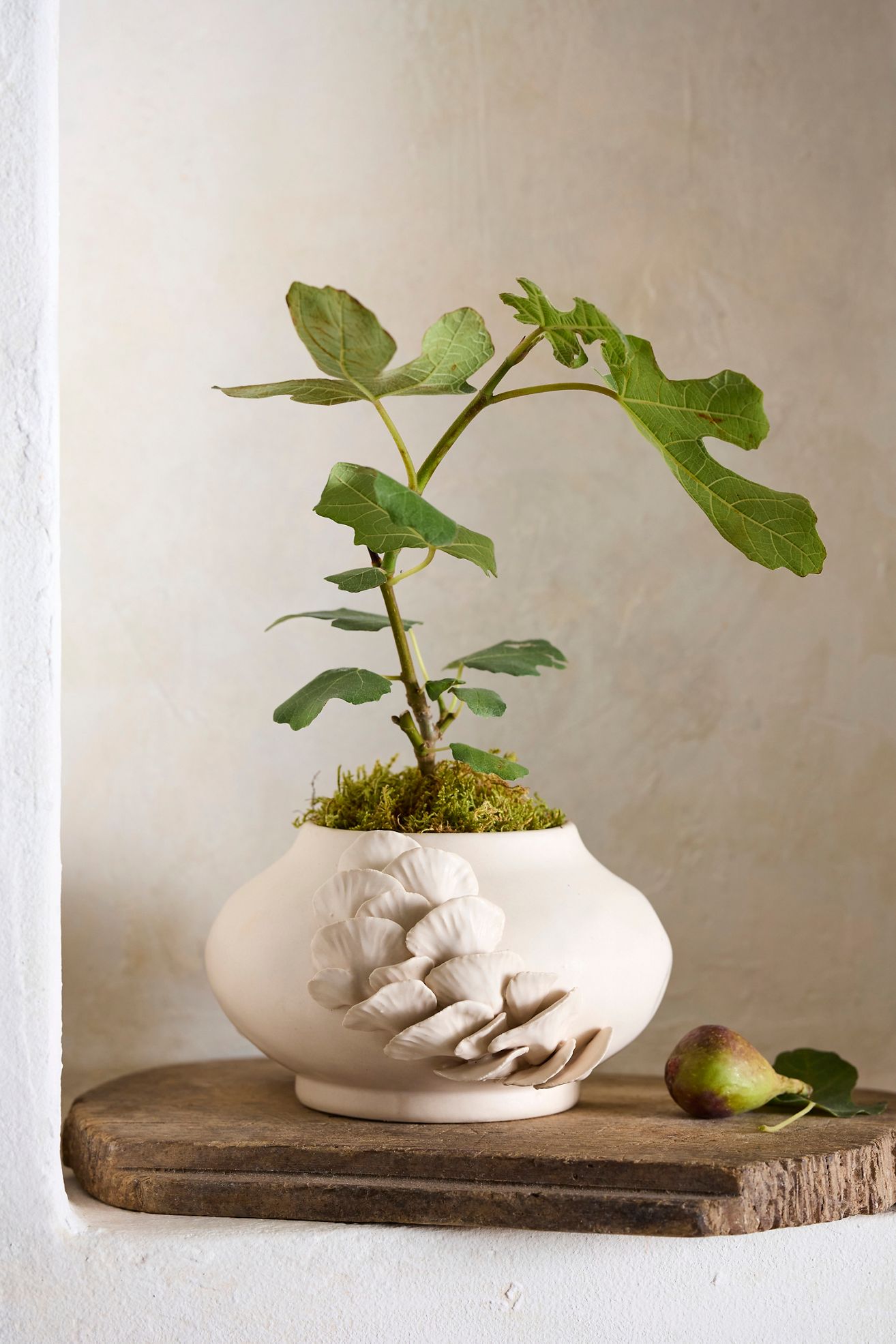 Shelf Mushroom Ceramic Planter - Natural, 7"