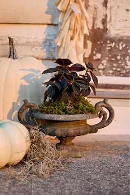 Cast Iron Handled Urn