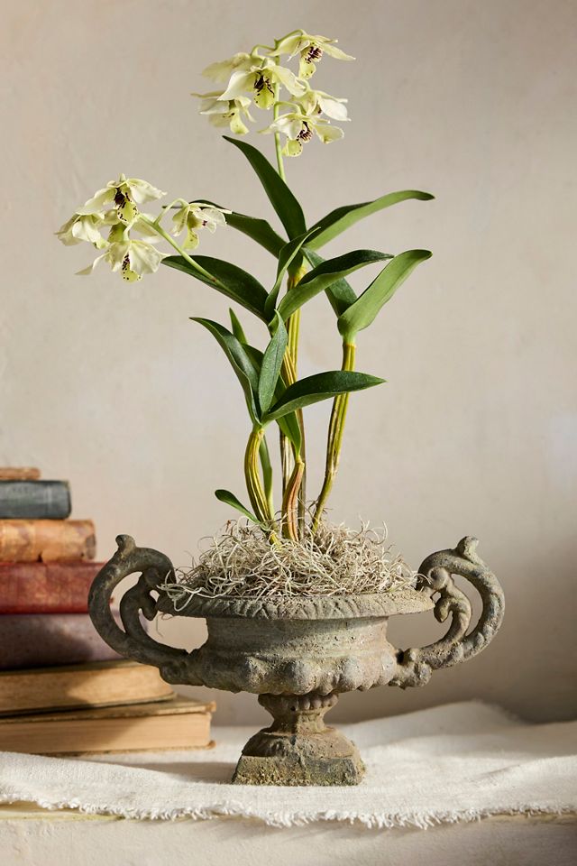 Cast Iron Handled Urn #4