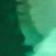 VERT FONCÉ