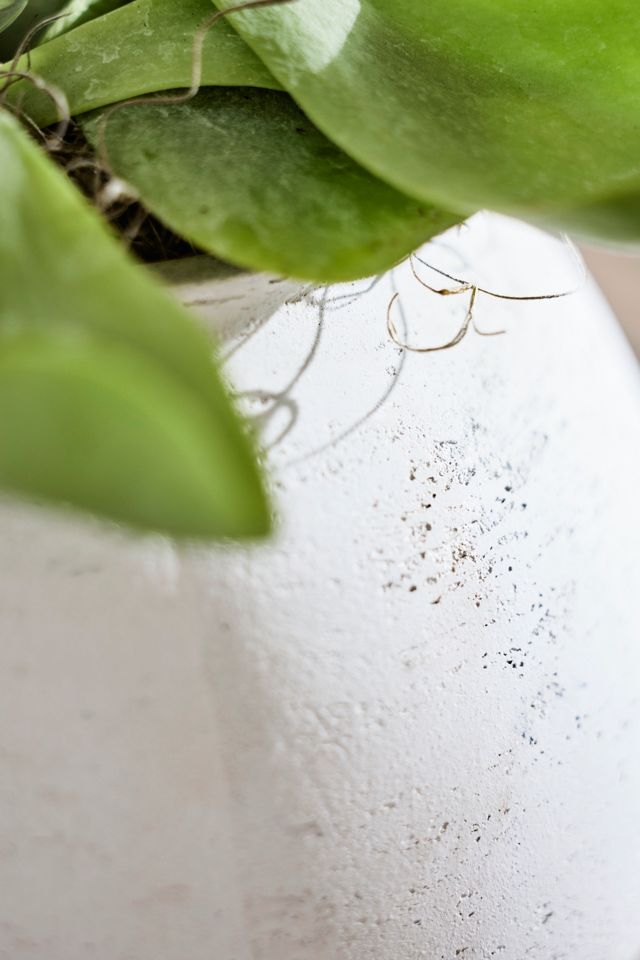 Rounded Jar Cement Planter #2