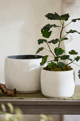 Barrel Cement Planter, 9" | Terrain