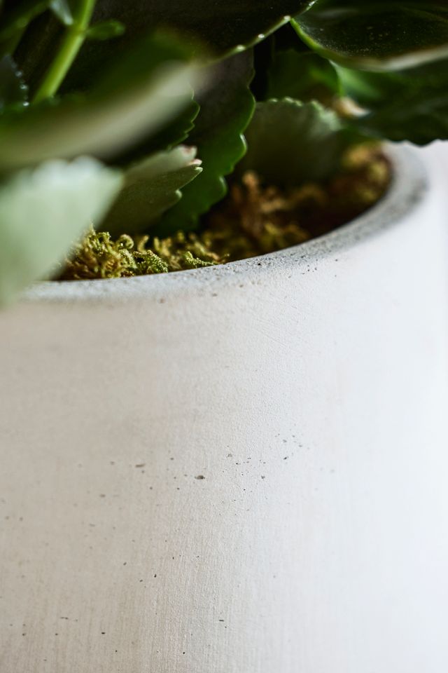 Droplet Cement Planter #2
