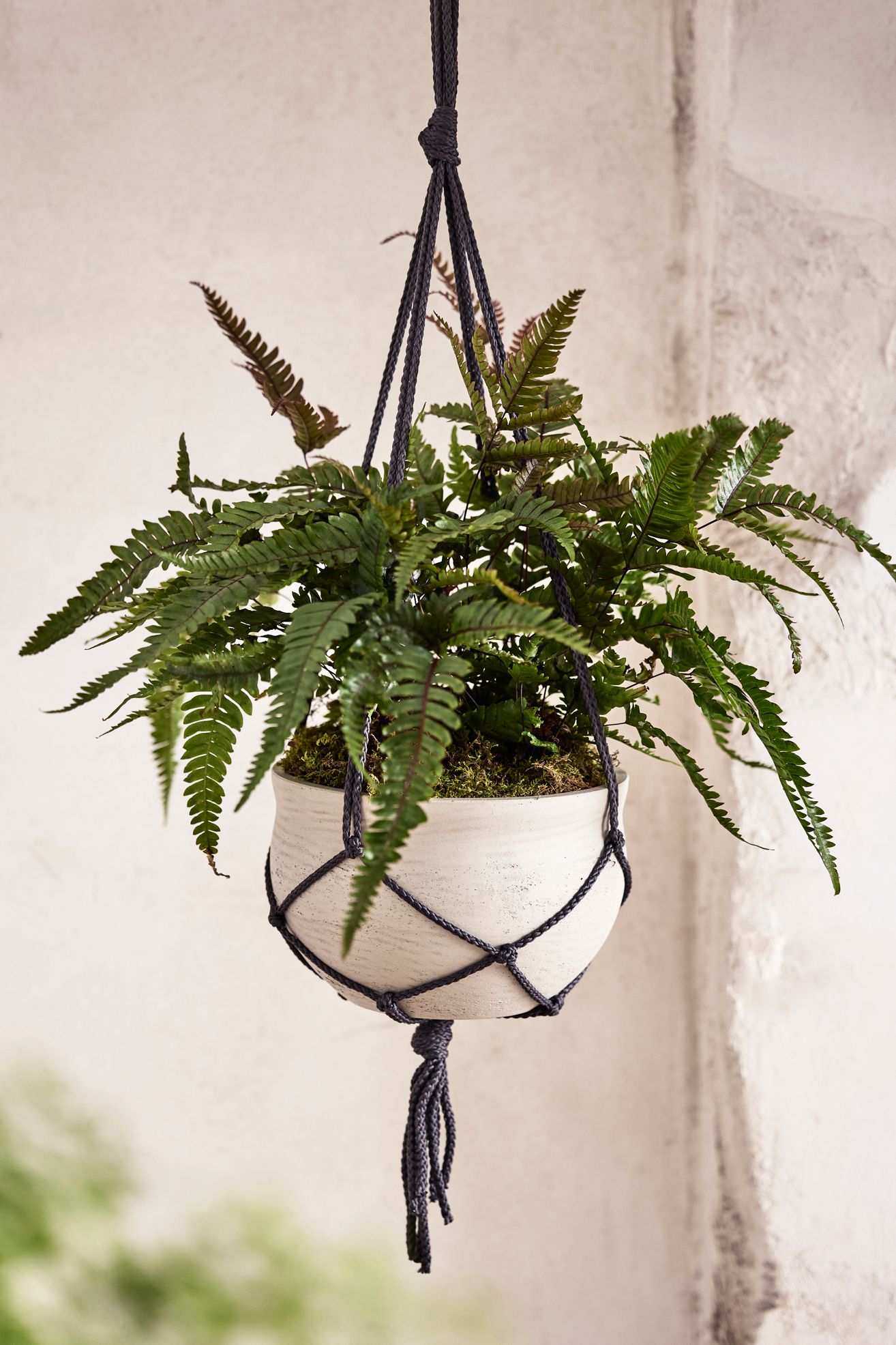 Hanging Round Cement Planter - Grey, 8"