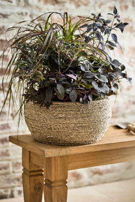 TERRAIN WOVEN SEAGRASS + FIBER TAPER BOWL PLANTER
