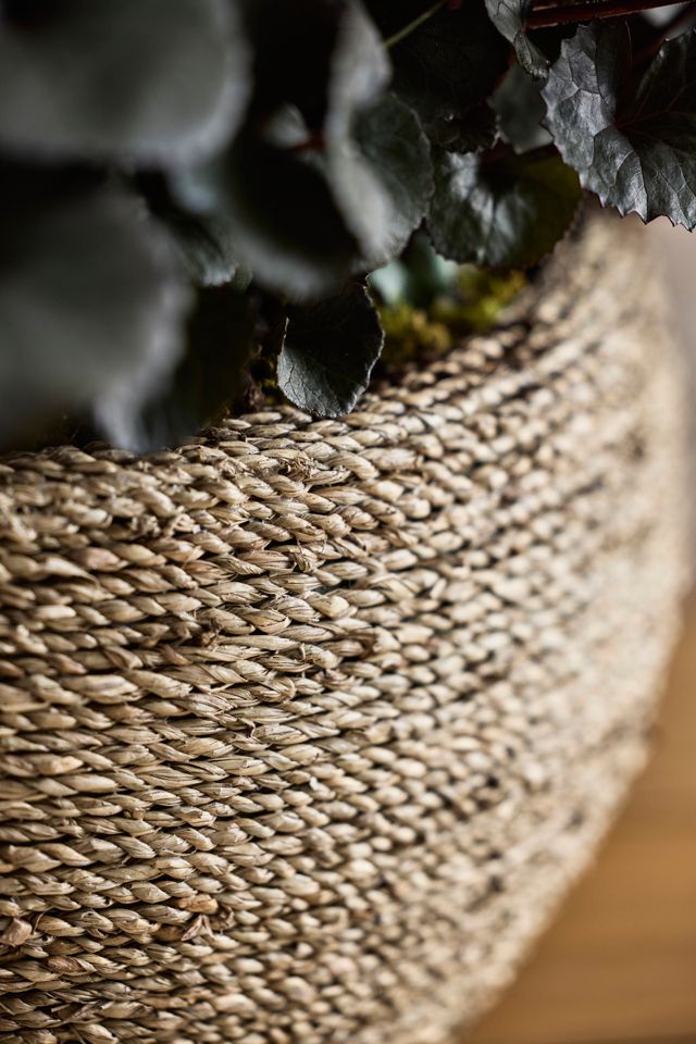 Woven Seagrass + Fiber Taper Bowl Planter #1
