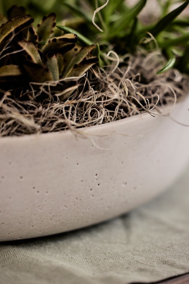 Wide Sandstone Fiber Bowl Planter #2
