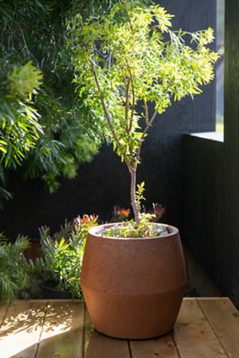 Fiber Beveled Barrel Planter