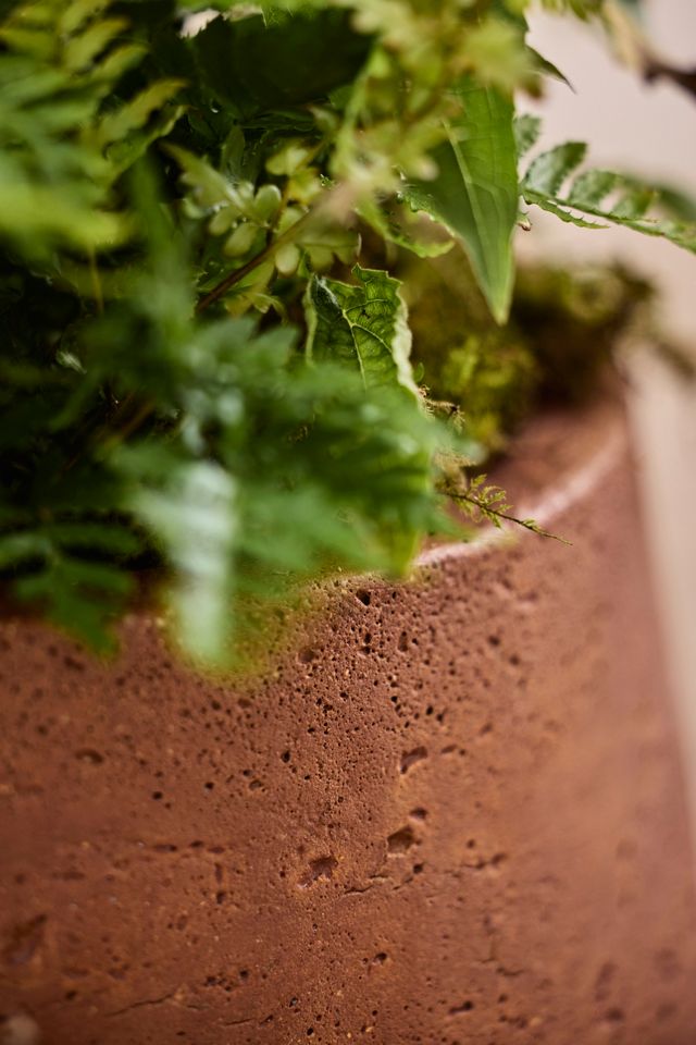 Fiber Beveled Barrel Planter, Low #2