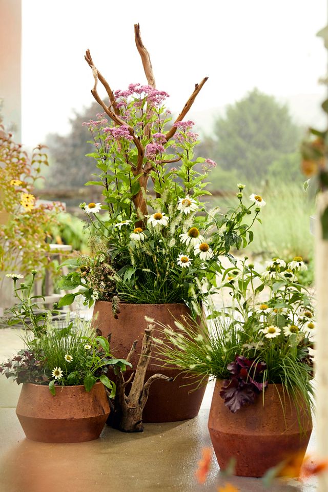 Fiber Beveled Barrel Planter, Low #3