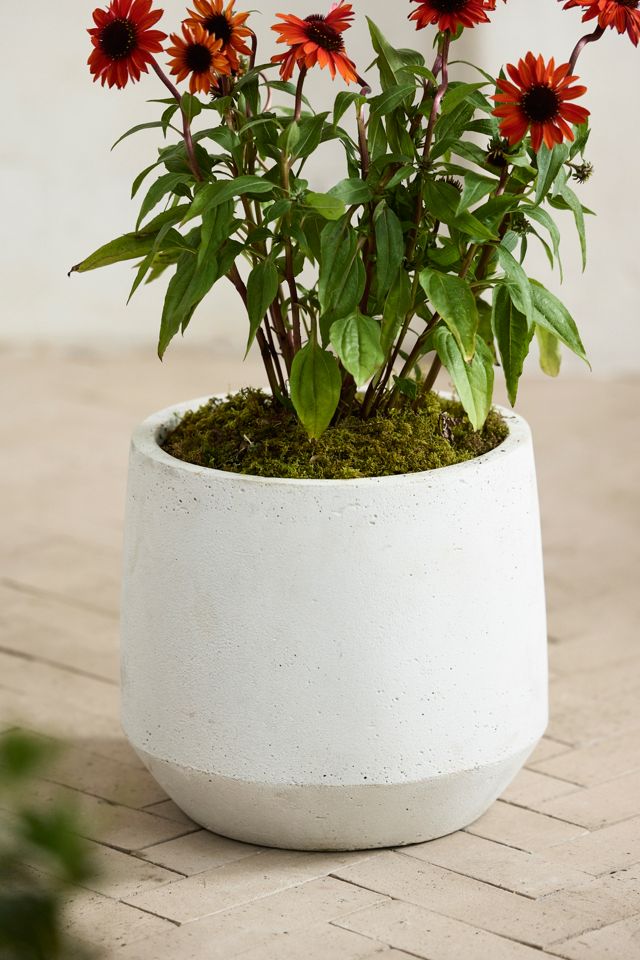 Fiber Angled Drop Planter #3