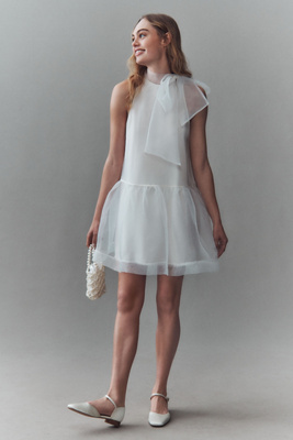 bhldn kendall sleeveless high neck organza mini dress BHLDN Dresses
