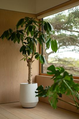Fiber Angled Drop Planter, Tall