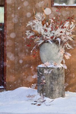 Barnacle Fiber Concrete Egg Planter
