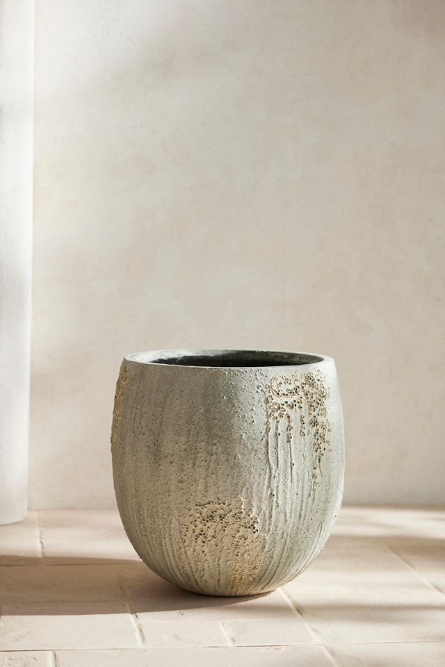 Barnacle Fiber Concrete Egg Planter #3