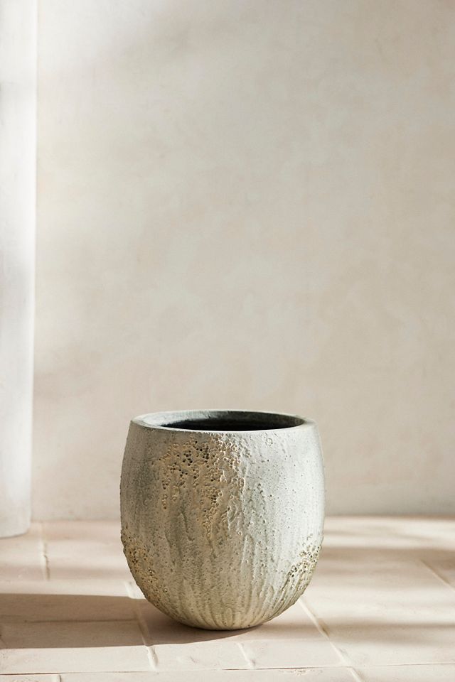 Barnacle Fiber Concrete Egg Planter #5