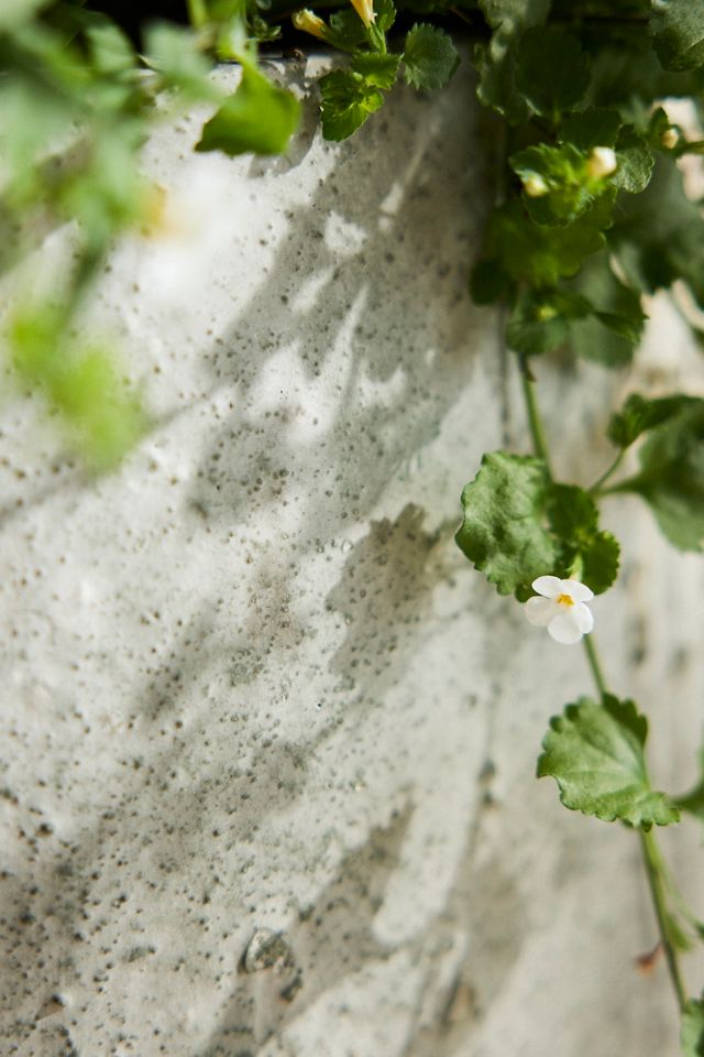 Barnacle Fiber Concrete Egg Planter #1
