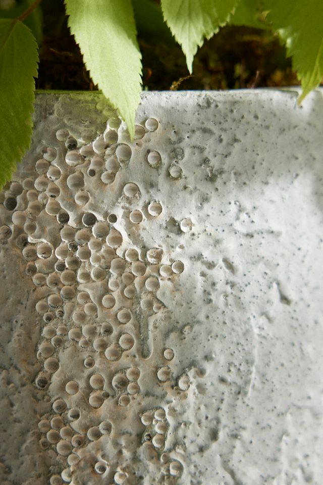 Barnacle Fiber Concrete Tall Droplet Planter #2