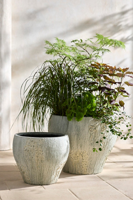 Terrain Barnacle Fiber Concrete Curved Jar Planter