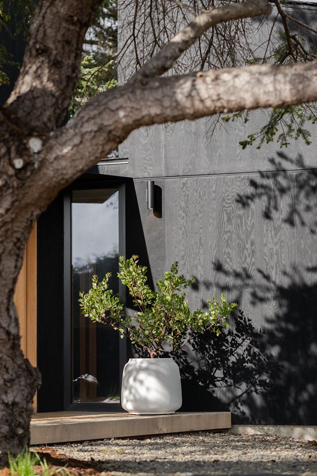 Concrete Droplet Jar Planter #6