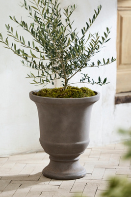Terrain Concrete Fluted Edge Urn Planter