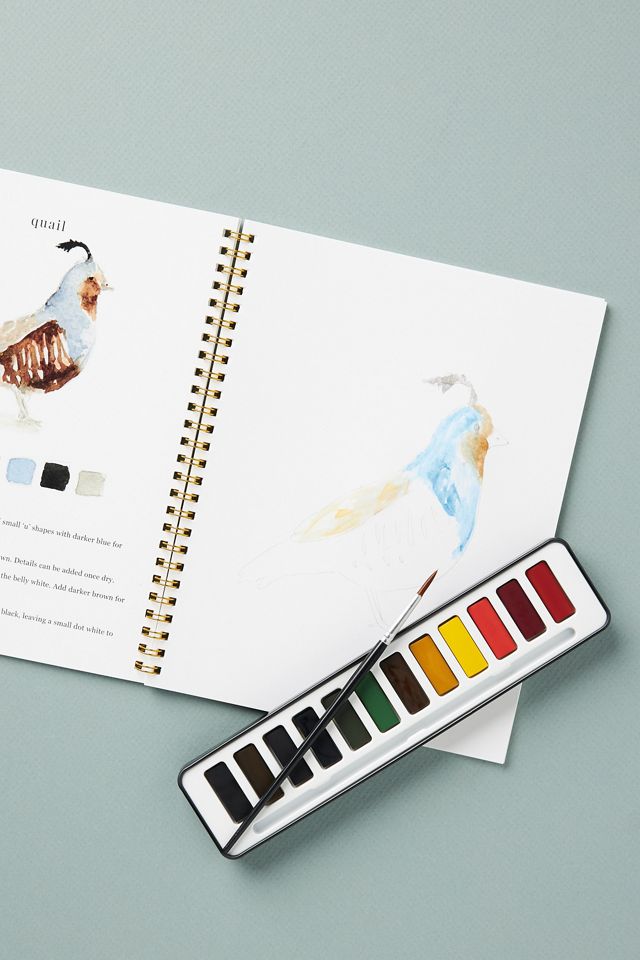 Emily Lex Studio Watercolor Set #1