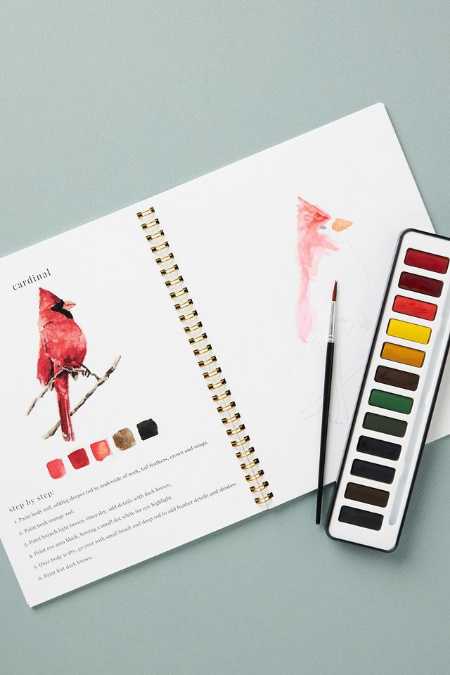 Emily Lex Studio Watercolor Set #2