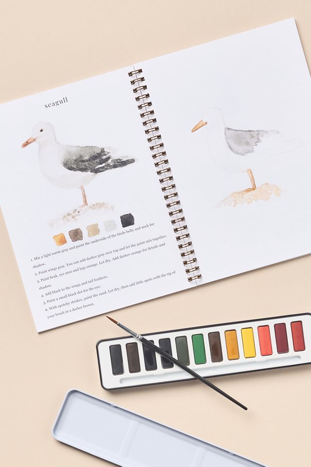Emily Lex Studio Watercolor Set #1