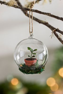 Succulent Glass Globe Ornament
