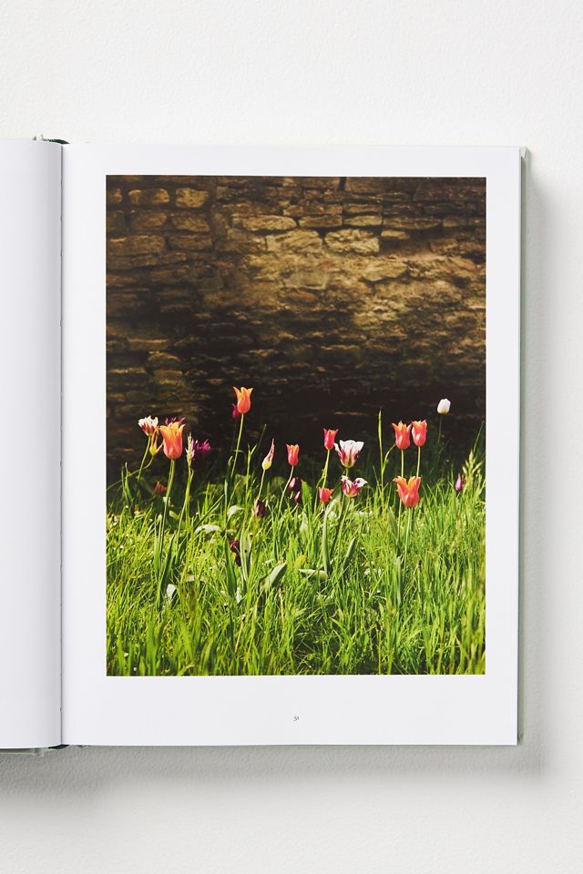 The Tulip Garden #2