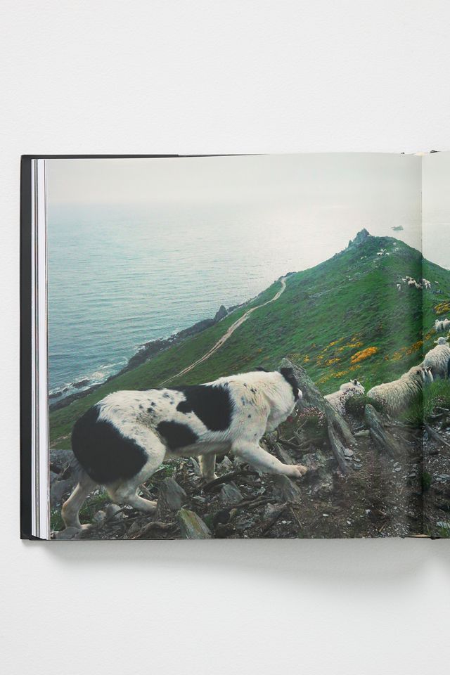 Dogs: Photographs by Tim Flach #2