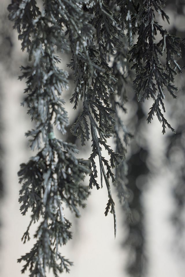 Cascading Black Boughs Chandelier #3