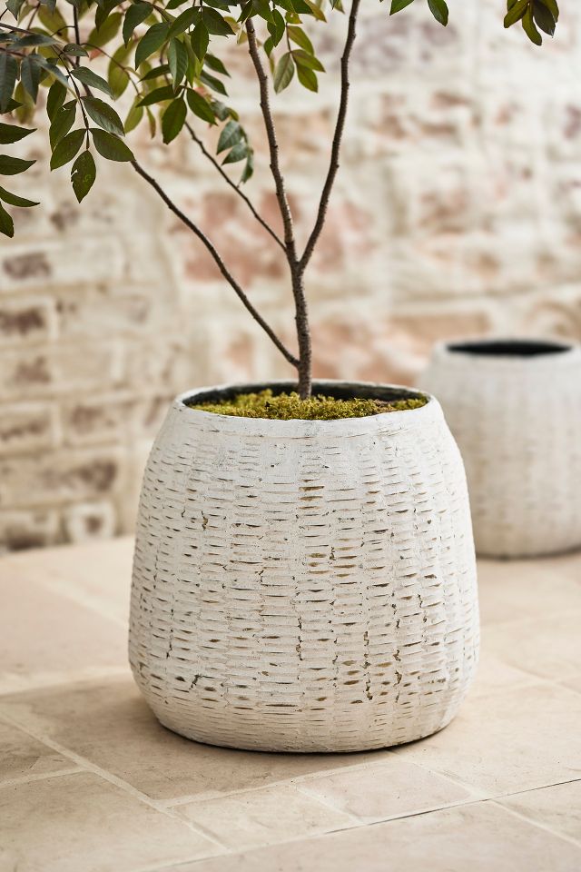 Bamboo + Fiber Jar Planter | AnthroLiving