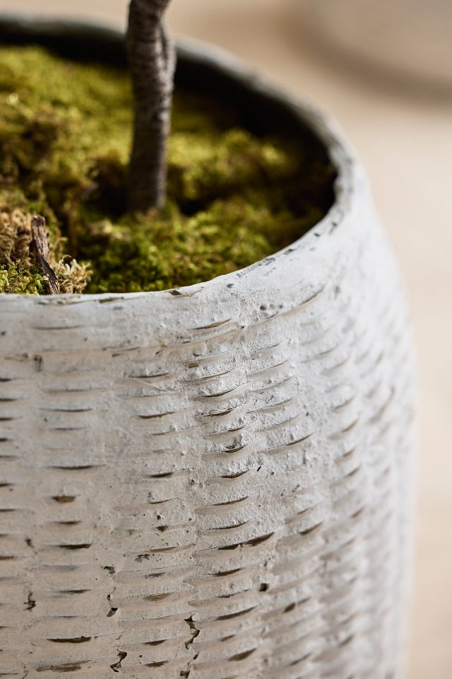 Bamboo + Fiber Jar Planter | Terrain