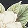 Night Gardenia