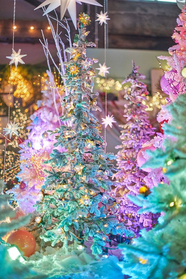 Faux Flocked Pre-Lit Alpine Fir #10