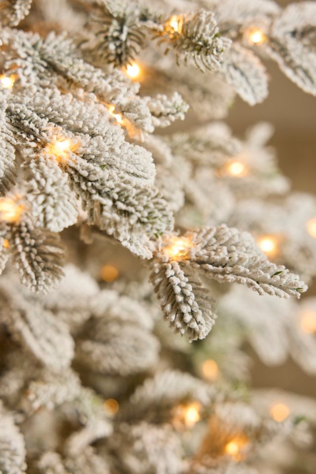 Faux Flocked Pre-Lit Alpine Fir #1