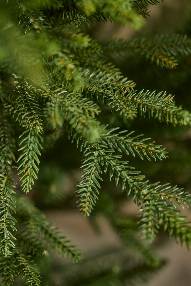 Faux Norway Spruce Tree #2