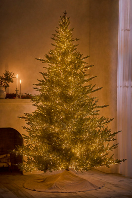 Terrain Faux Twinkling Pre-lit Norway Spruce