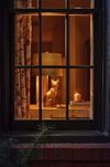 Leonie Cat Table Lamp