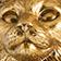 Maine Coon