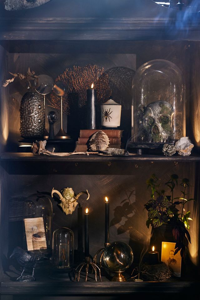 Spider Jar Candle, Nocturnal Rituals | AnthroLiving